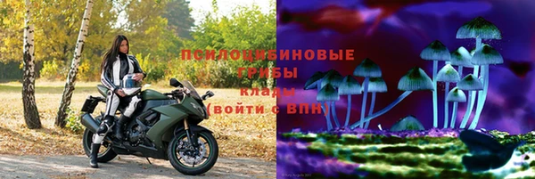 спиды Абинск