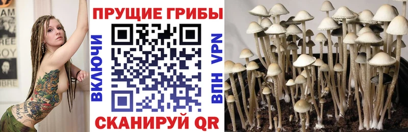 Галлюциногенные грибы MAGIC MUSHROOMS купить наркотики цена Саратов