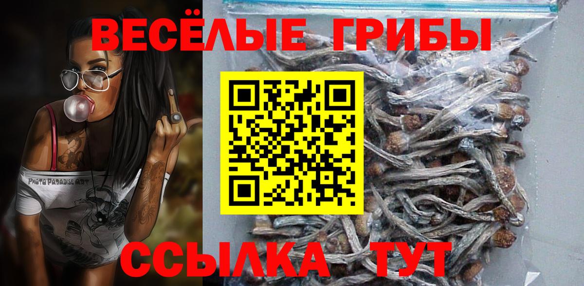 Псилоцибиновые грибы мухоморы  Вход с VPN  Галлюциногенные грибы мухоморы  Саратов 